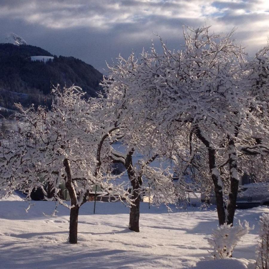 Gailtal Panorama Apartment Kotschach-Mauthen ภายนอก รูปภาพ